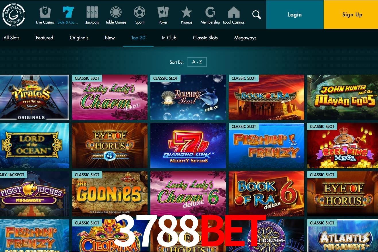 Casino Ao Vivo 3788Bet